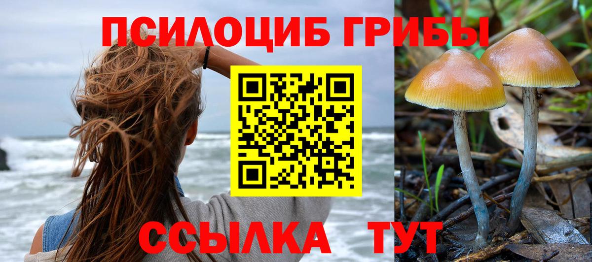 Псилоцибиновые грибы ЛСД  Вход с VPN  Стрежевой  Псилоцибиновые грибы прущие грибы 