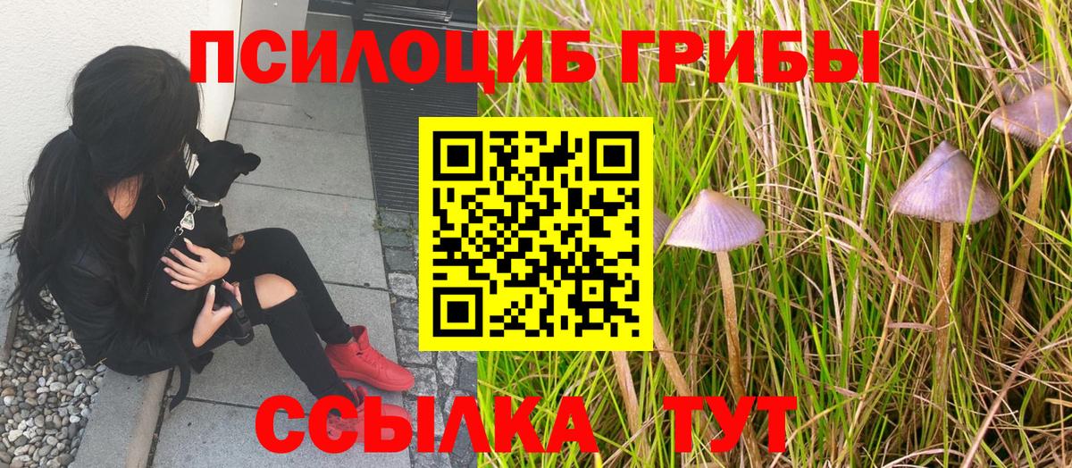Псилоцибиновые грибы GOLDEN TEACHER Стрежевой